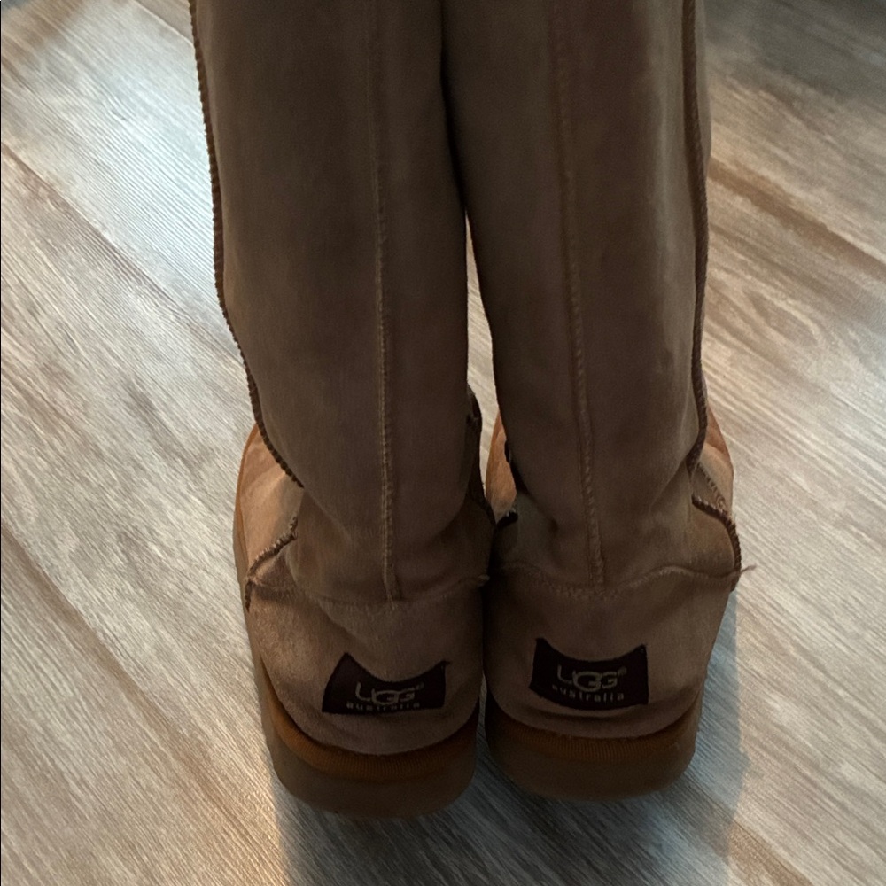 UGG Women's Brown Winter Boots
